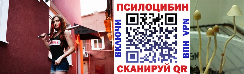 Псилоцибиновые грибы Psilocybe магазин Ветлуга